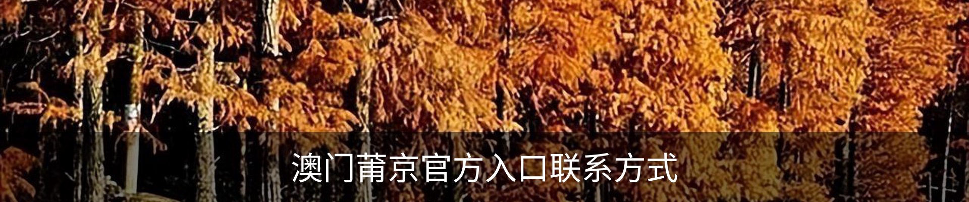澳门莆京官方入口联系方式